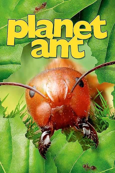 Planet Ant: Life Inside The Colony